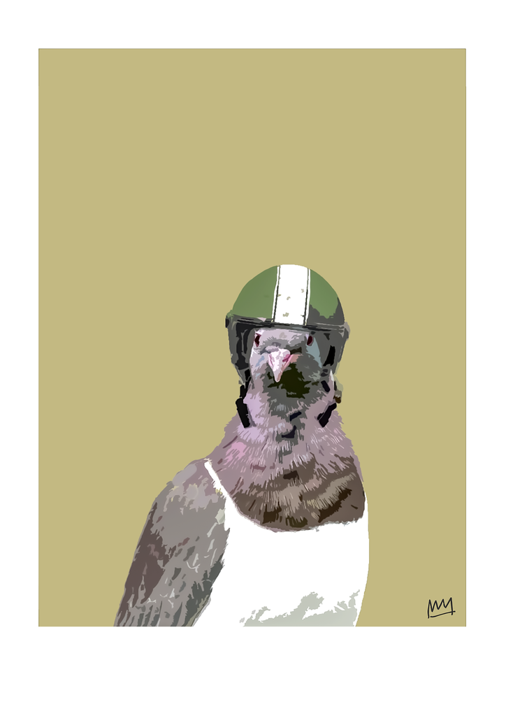 KERERŪ Crash Helmet