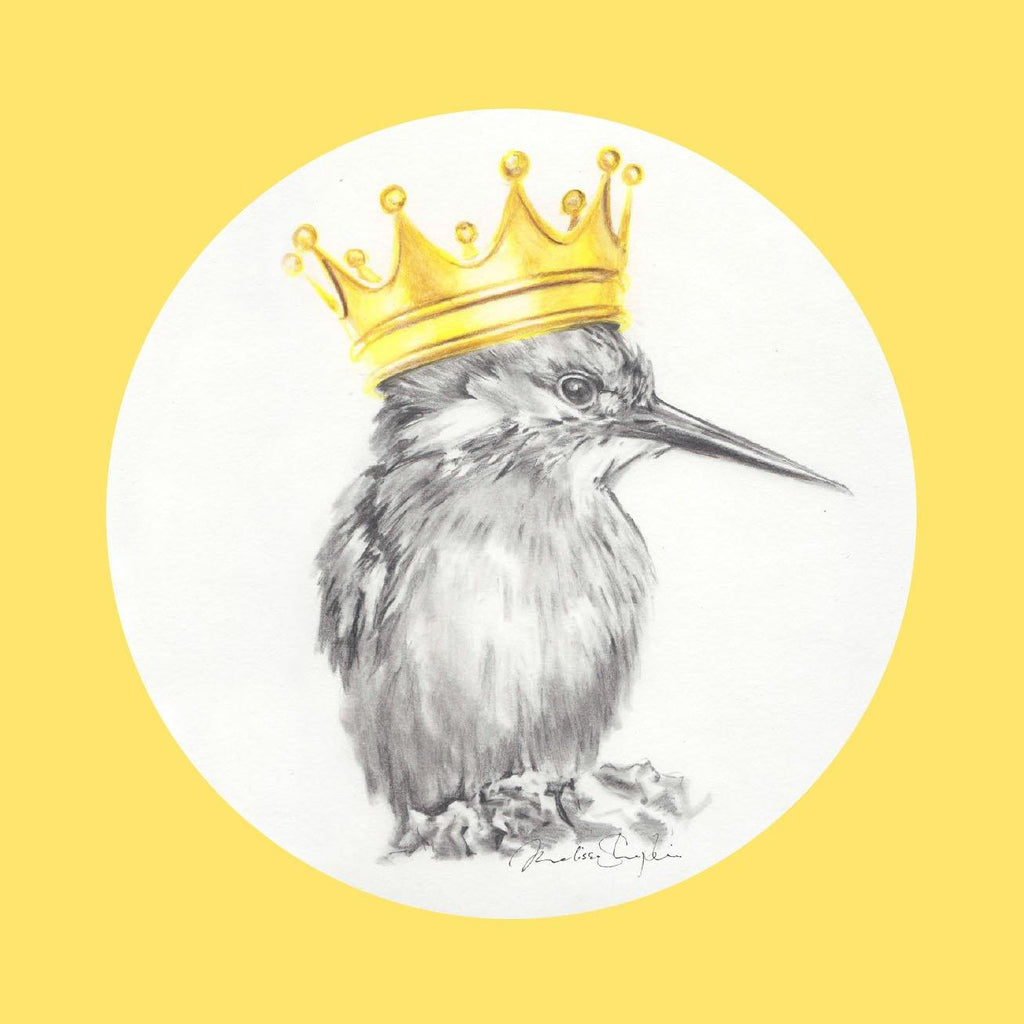 Kingfisher Greeting Card - Melissa Sharplin