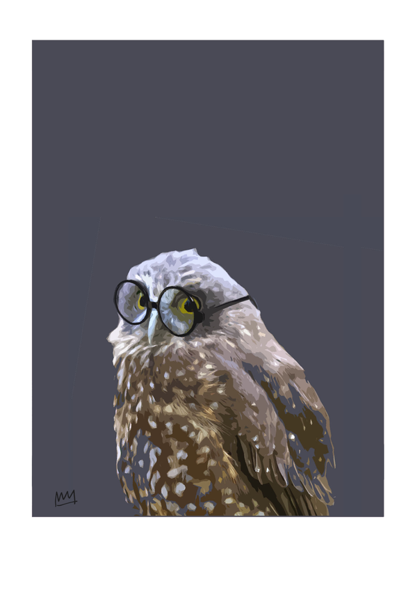 Morepork Specks