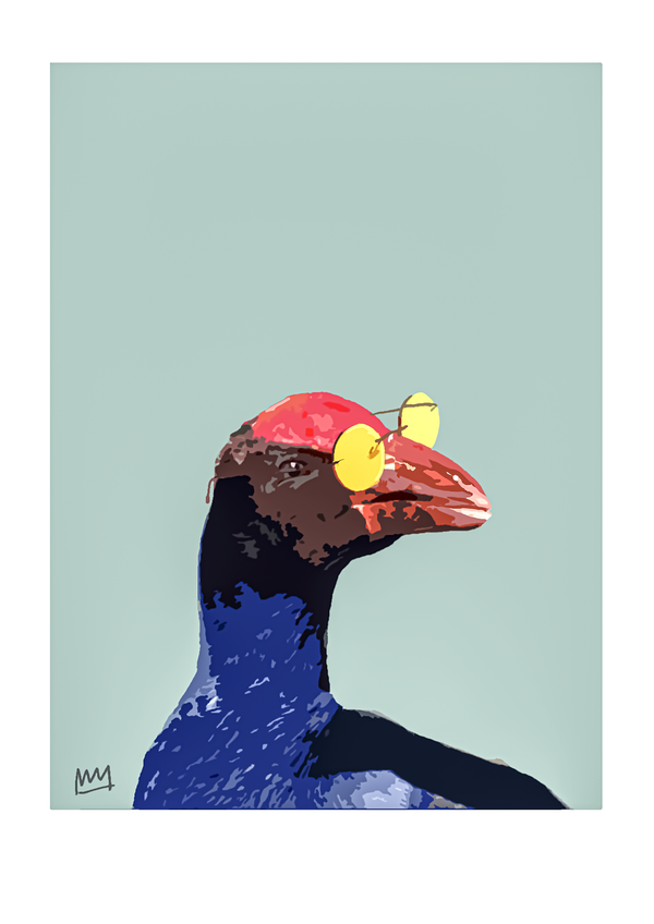 Pukeko Chill