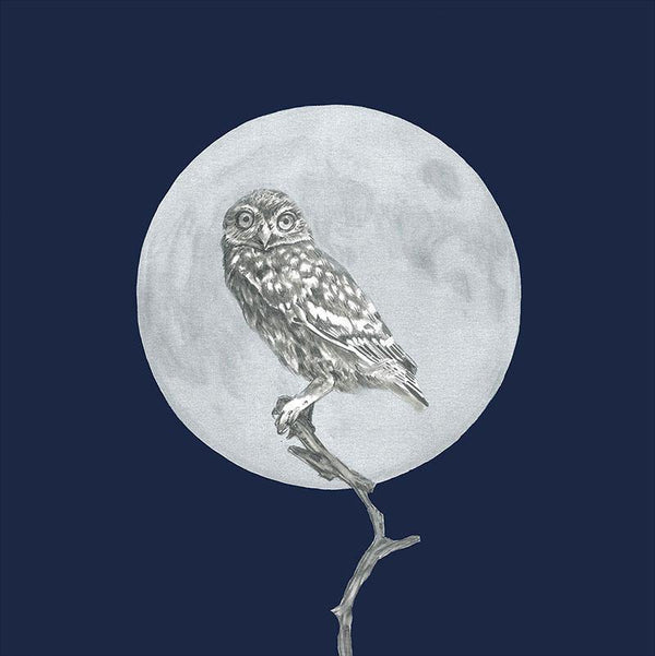 Moon and the Morepork - Melissa Sharplin