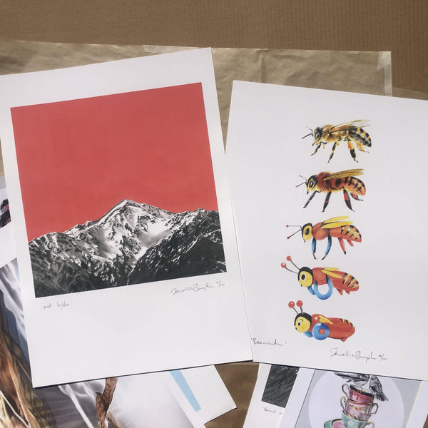 Mt Fyffe and Beevolution - Melissa Sharplin