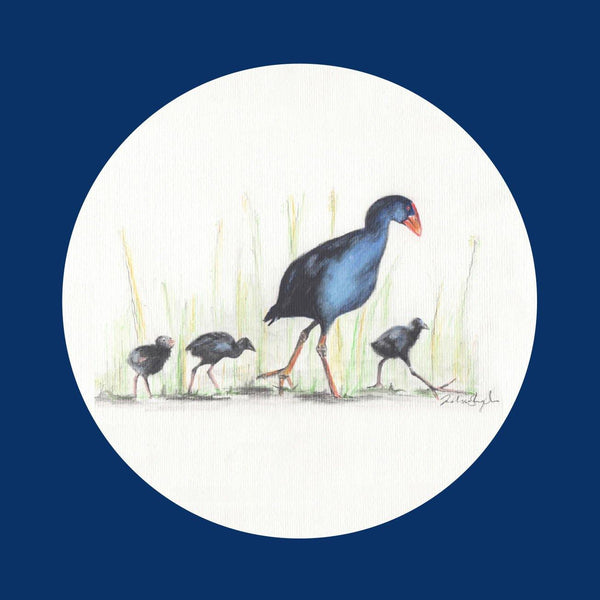 Pukeko Greeting Card - Melissa Sharplin